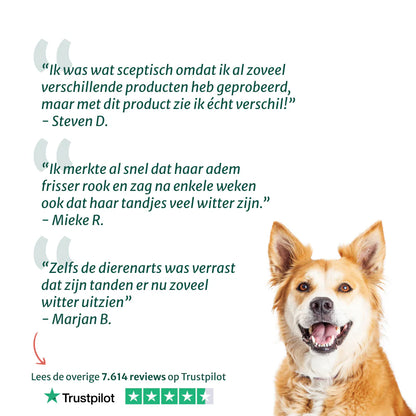 DS Dental Liquid | Voor een frisse adem en gezond gebit | 100% natuurlijk | 250 ml