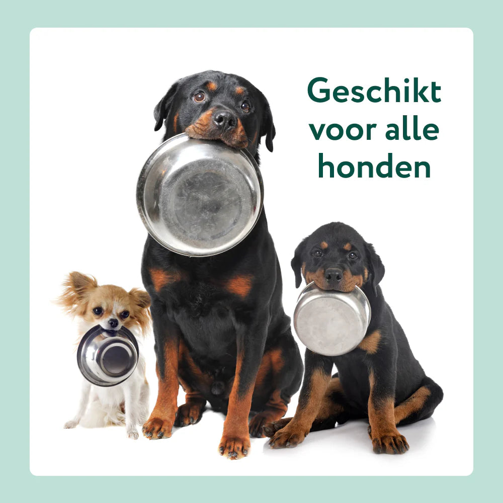 DS Dental Liquid | Voor een frisse adem en gezond gebit | 100% natuurlijk | 250 ml
