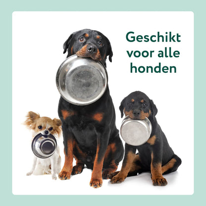 DS Dental Liquid | Voor een frisse adem en gezond gebit | 100% natuurlijk | 250 ml