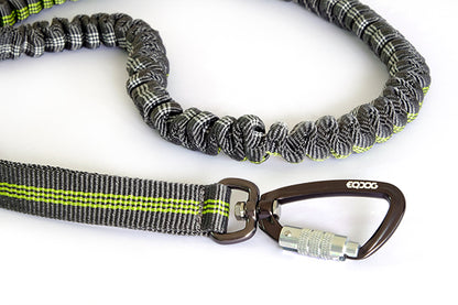 EQDOG® Jogging Leash - Elastisch en verstelbaar