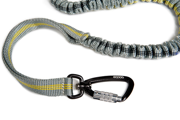 EQDOG® Jogging Leash - Elastisch en verstelbaar
