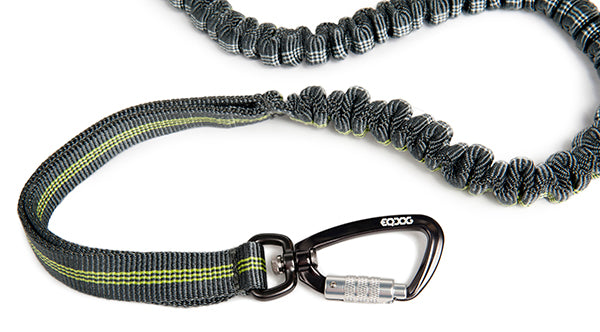 EQDOG® Jogging Leash - Elastisch en verstelbaar