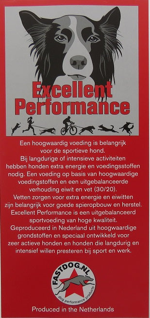 Fastdog Excellent Performance
