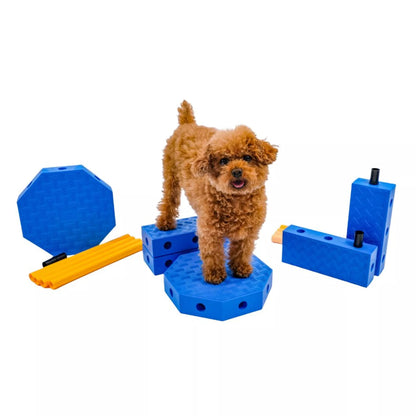 FitPAWS FitKinect - Core