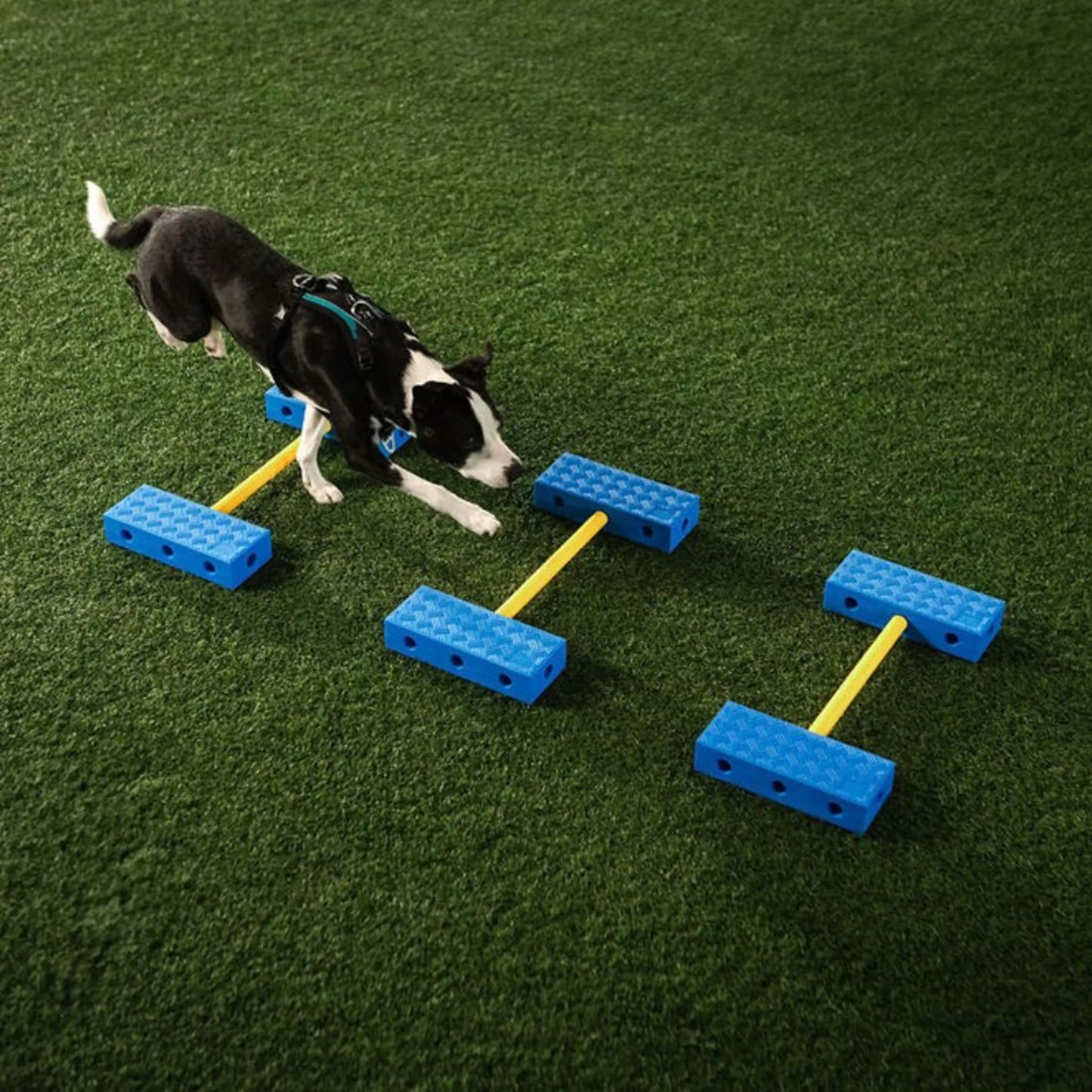 FitPAWS FitKinect - Core