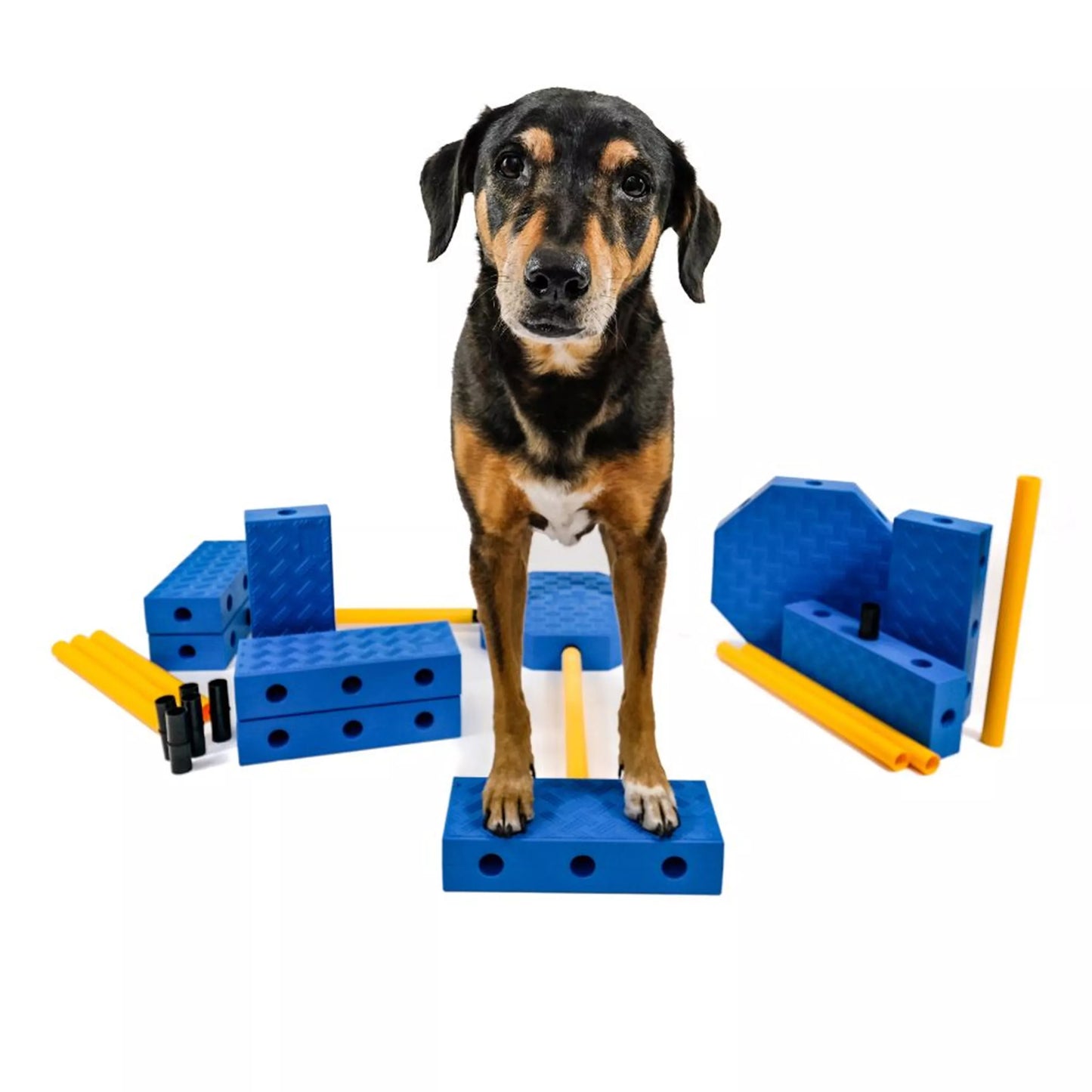 FitPAWS FitKinect - Xtra