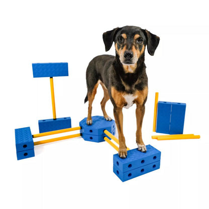 FitPAWS FitKinect - Xtra