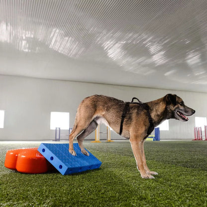 FitPAWS FitKinect - Upgrade Kit Rectangle