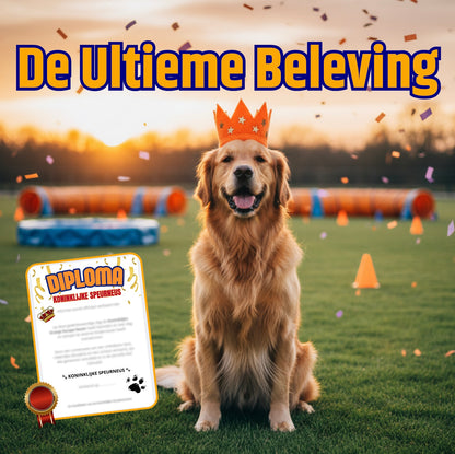 Escape Room - Koningsdag editie