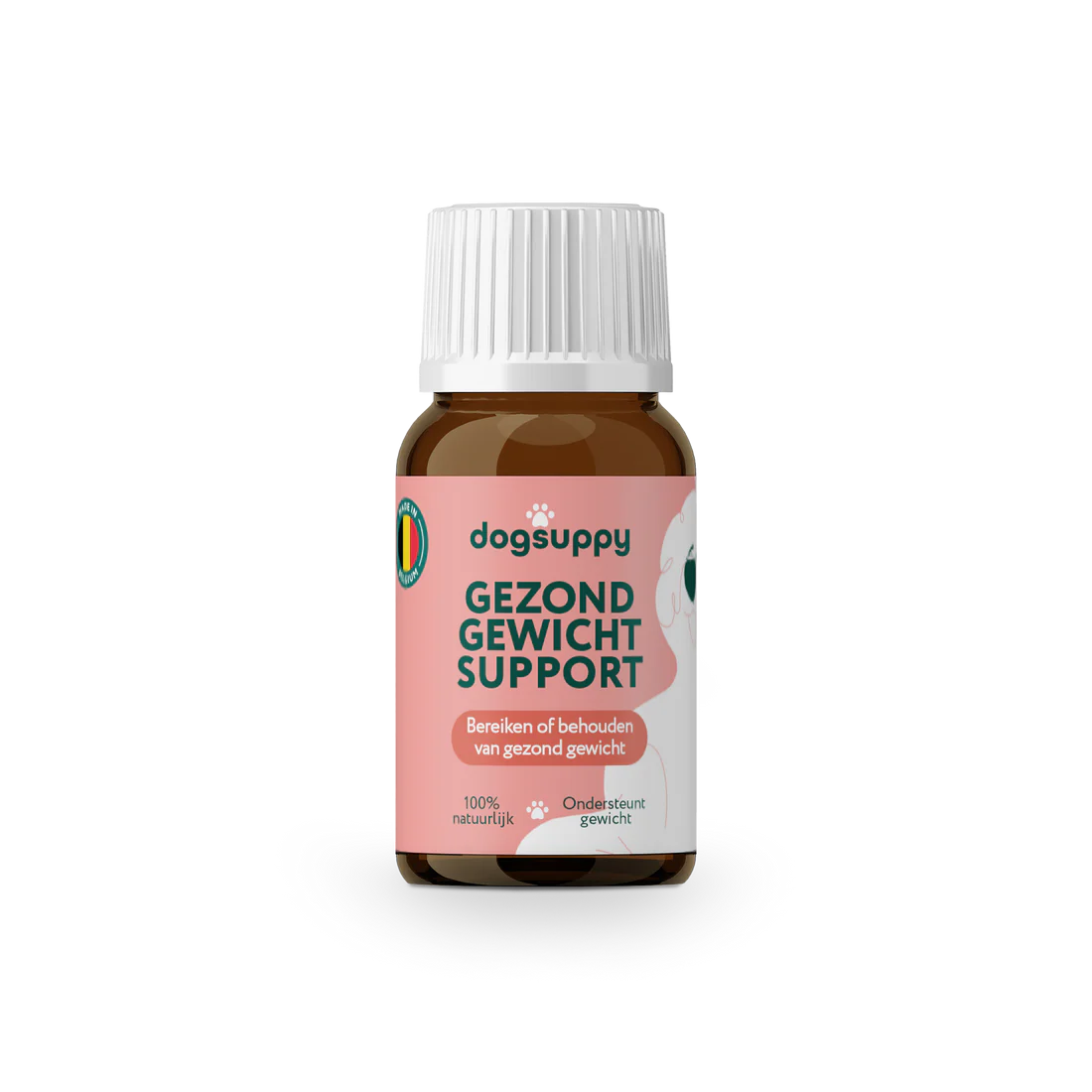 DS Gezond Gewicht Support | Ondersteunen van een gezonde levensstijl | 100% natuurlijk | 100 ml