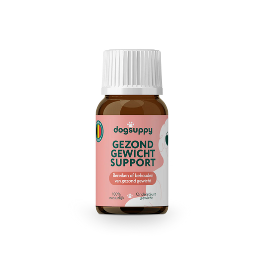 DS Gezond Gewicht Support | Ondersteunen van een gezonde levensstijl | 100% natuurlijk | 100 ml