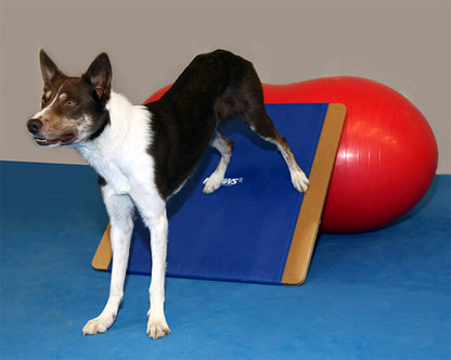 FitPAWS Giant Rocker Board