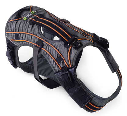 EQDOG® Pro Harness - hondentuig