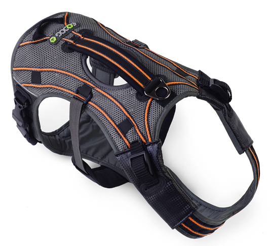 EQDOG® Pro Harness - hondentuig