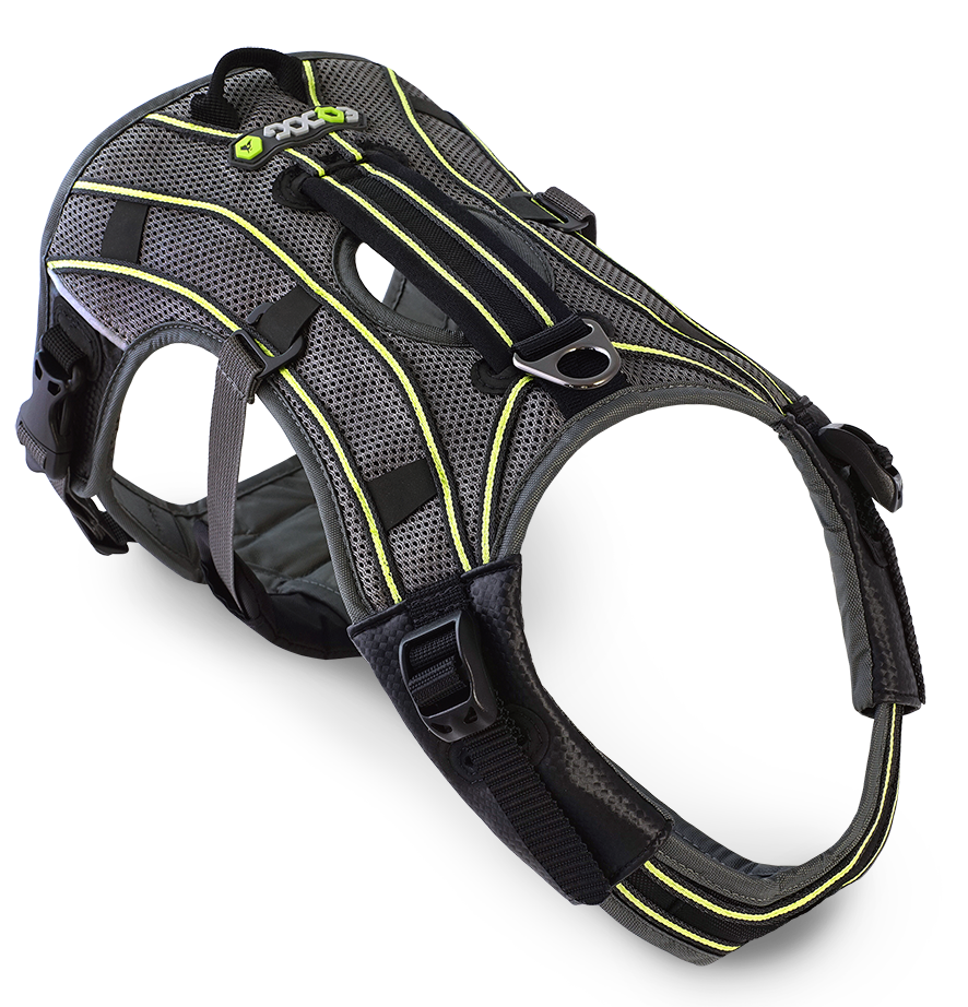 EQDOG® Pro Harness - hondentuig