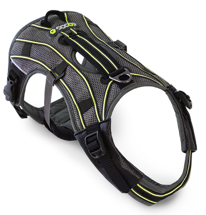 EQDOG® Pro Harness - hondentuig