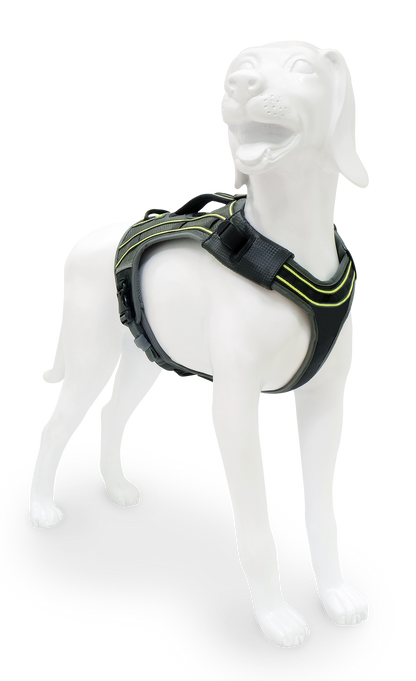EQDOG® Pro Harness - hondentuig