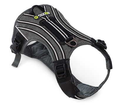 EQDOG® Pro Harness - hondentuig