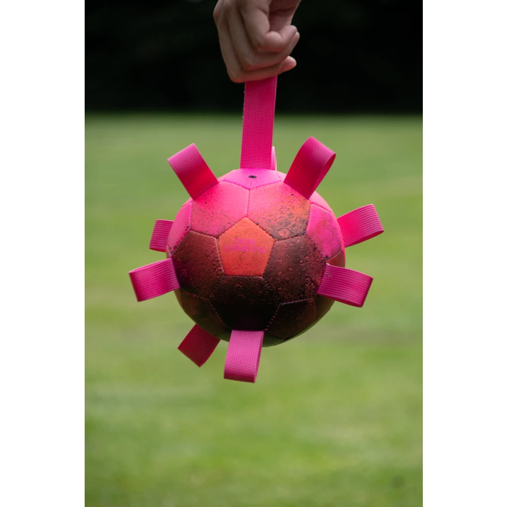 Dog Comets Hypernova bal met lussen - Roze