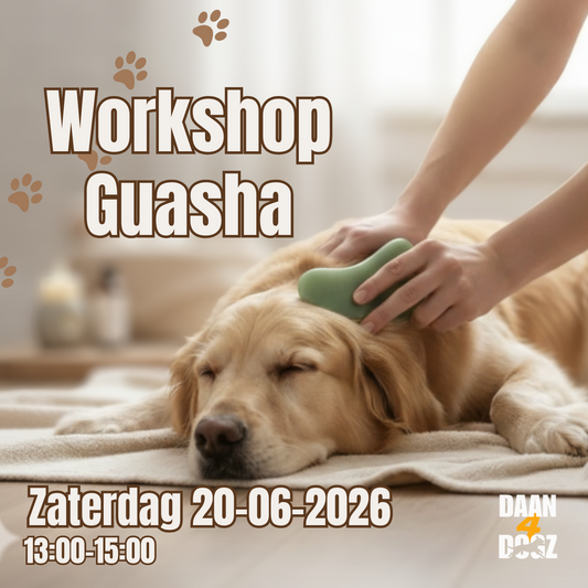 Workshop Guasha 20 juni - 13:00