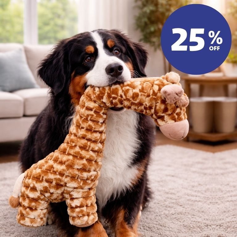 Quapas! XXL Hondenknuffel pluche - div. varianten