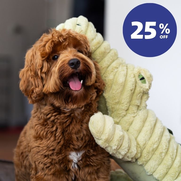 Quapas! XXL Hondenknuffel pluche - div. varianten