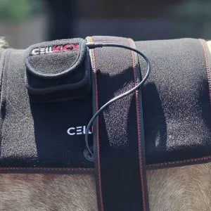 CellKick - Rugpad S NIEUW