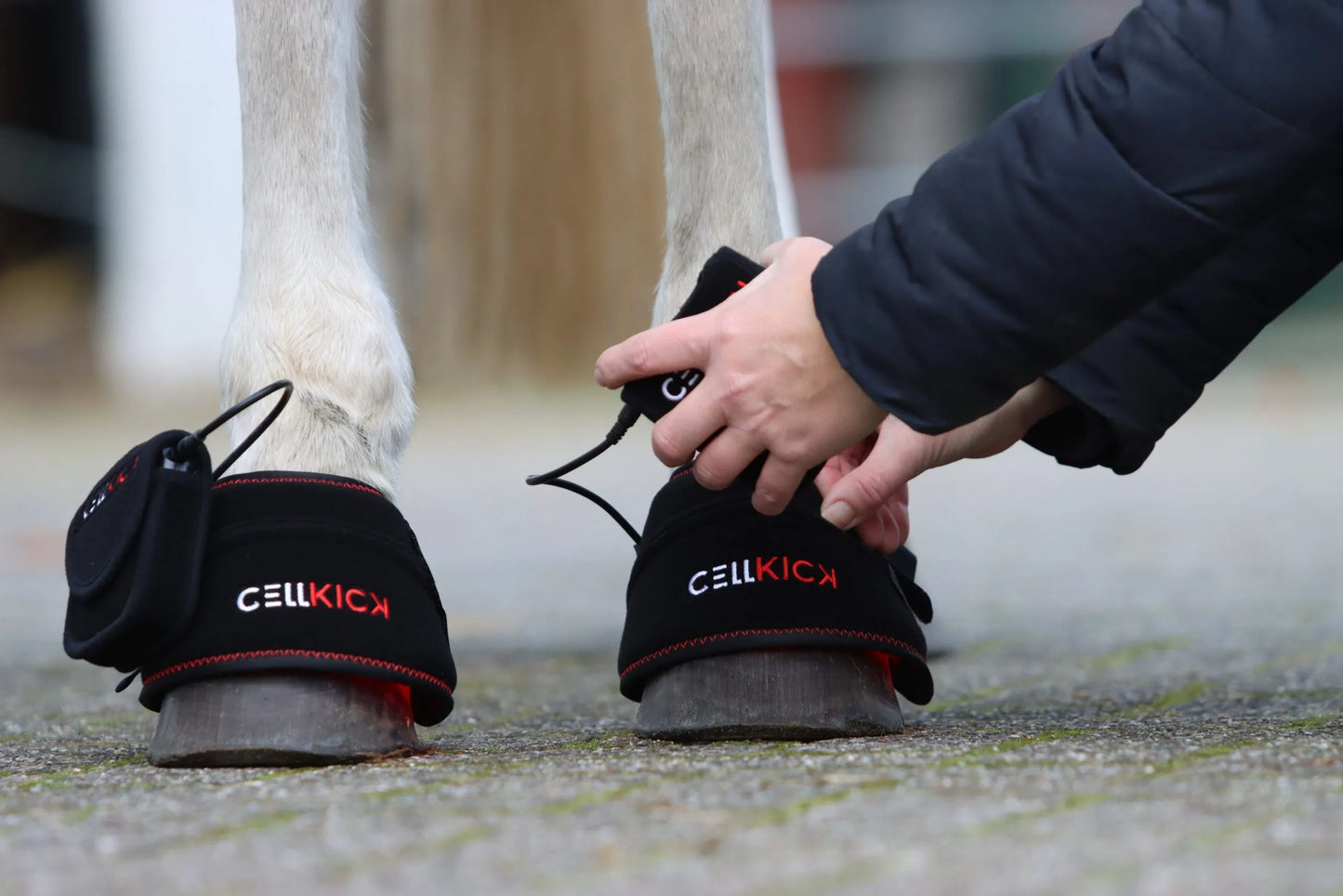 CellKick - Hoefpad set + GRATIS OPBERGTAS S