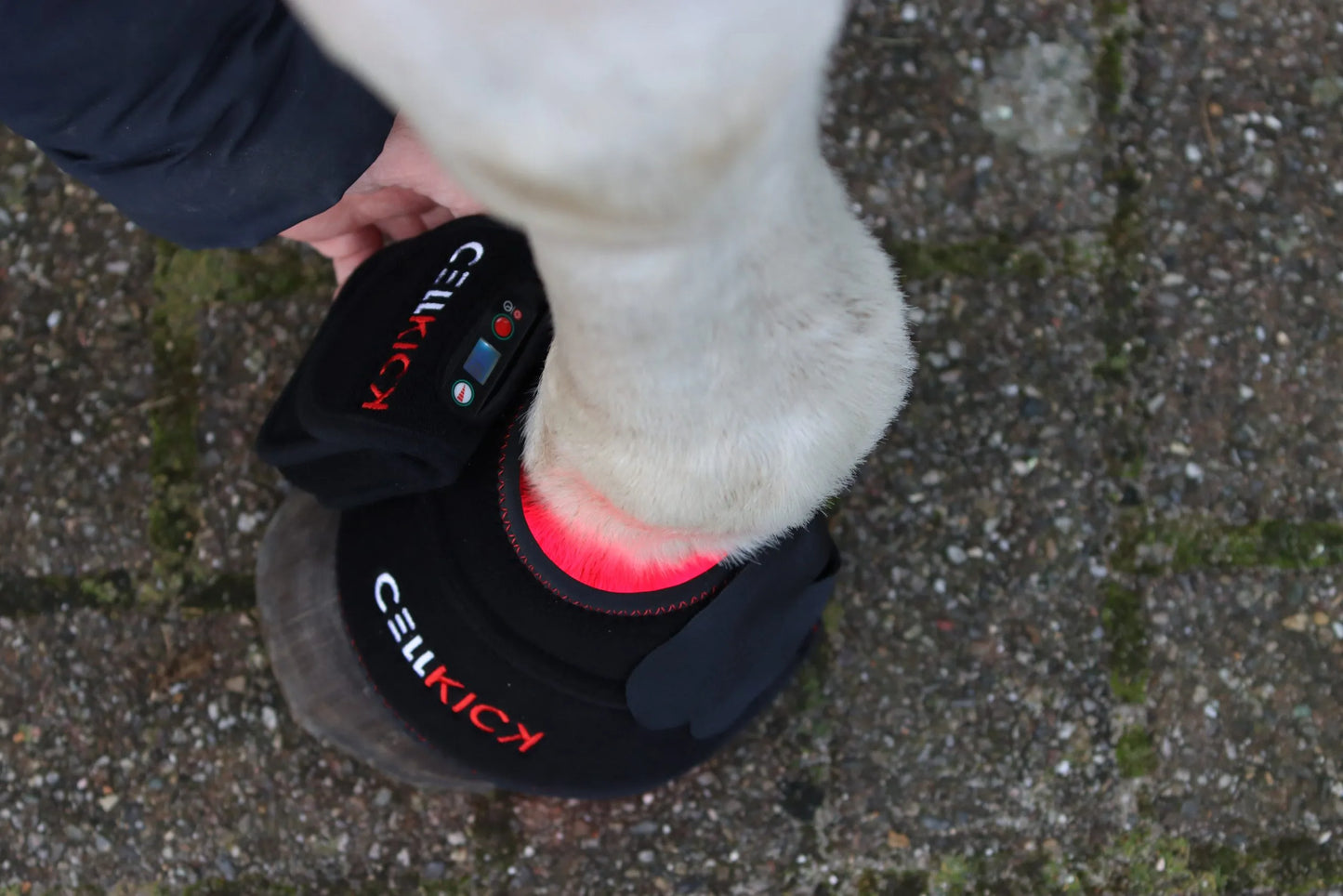 CellKick - Hoefpad + GRATIS OPBERGTAS S