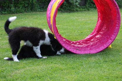 Tunnel "Profi" set van 2 - 1 meter - Ø 80 cm