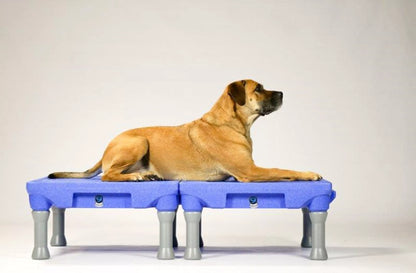 Klimb - div. kleuren