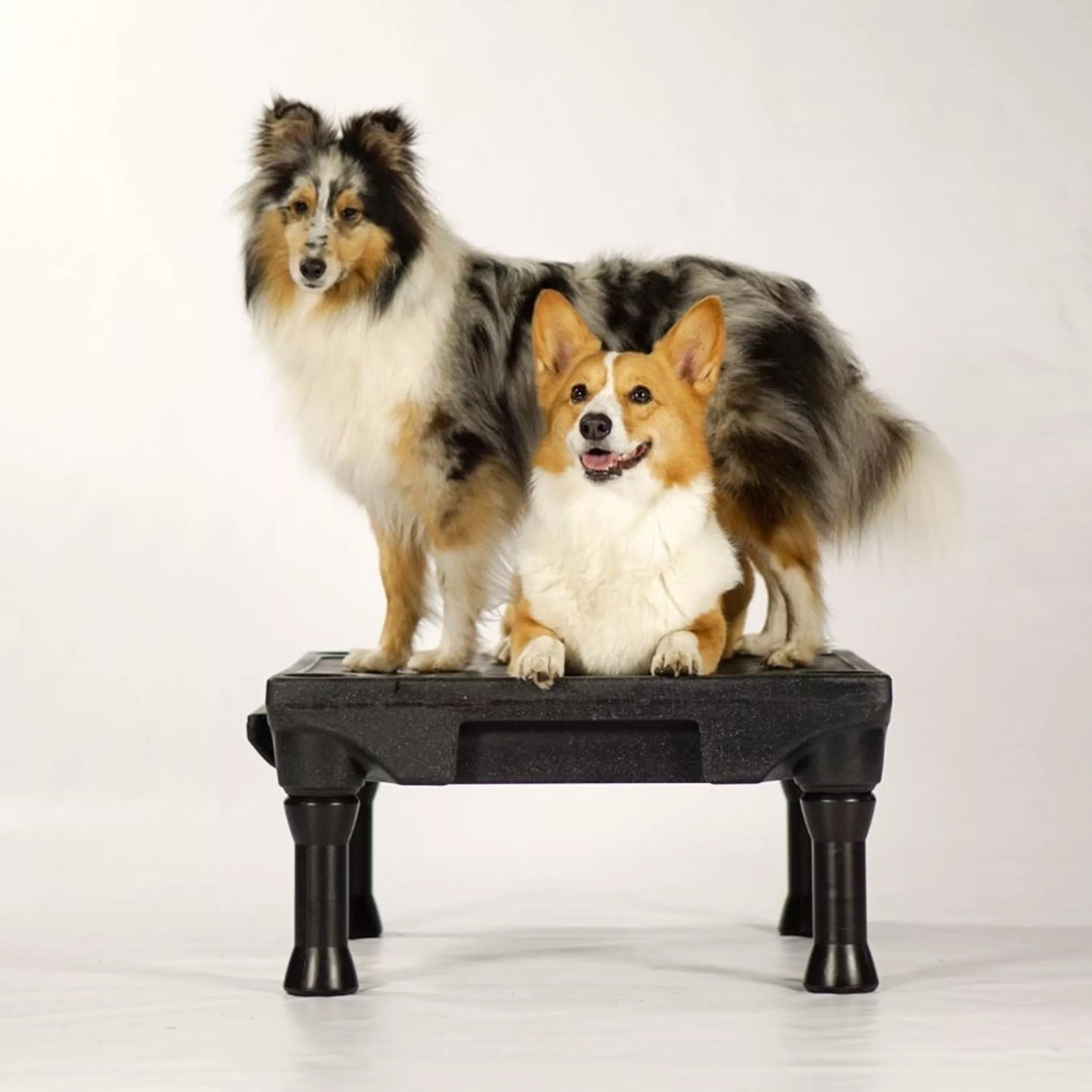 Klimb - div. kleuren