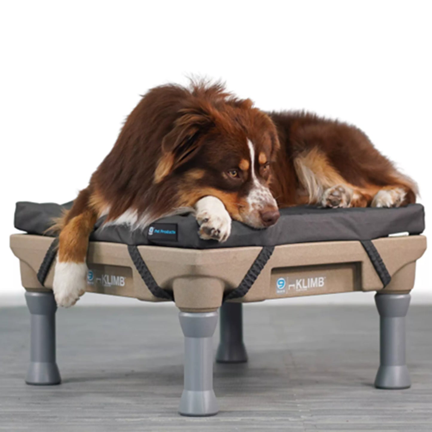 Klimb - Restore Dog Bed