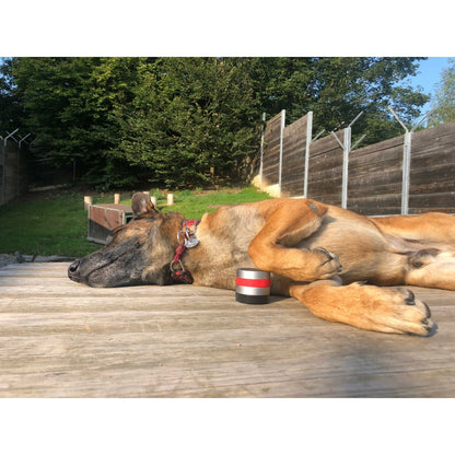 RelaxoPet PRO Hond