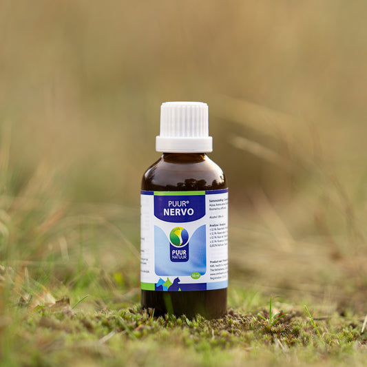 PUUR Nervo - 50 ml