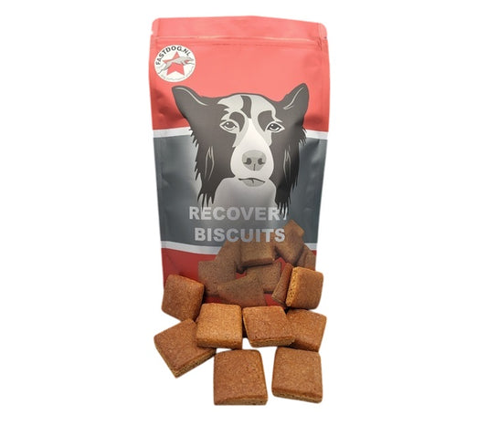Fastdog Dog Recovery Biscuits - 500 gram