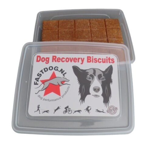 Fastdog Bewaardoos Recovery Biscuits