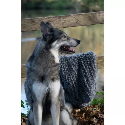 Royal Dry - Handdoek voor Honden
