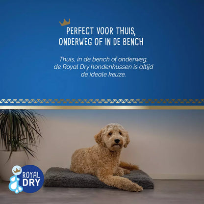 Royal Dry - Kussen voor Honden div. maten
