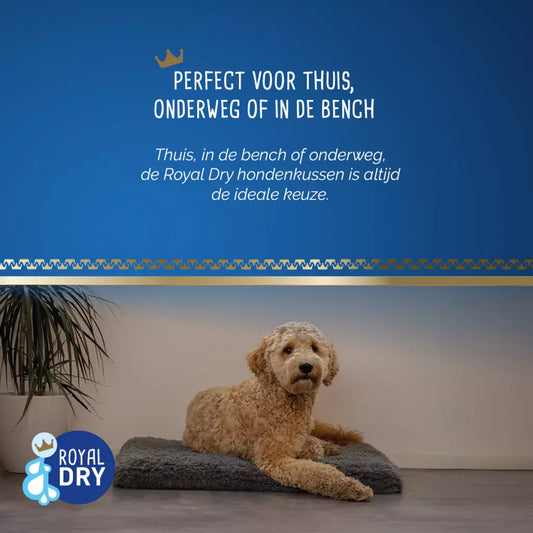 Royal Dry - Kussen voor Honden div. maten