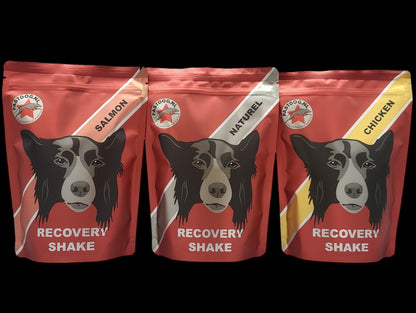 Fastdog Recovery Shake - diverse varianten