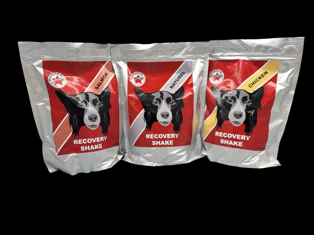 Fastdog Recovery Shake - diverse varianten