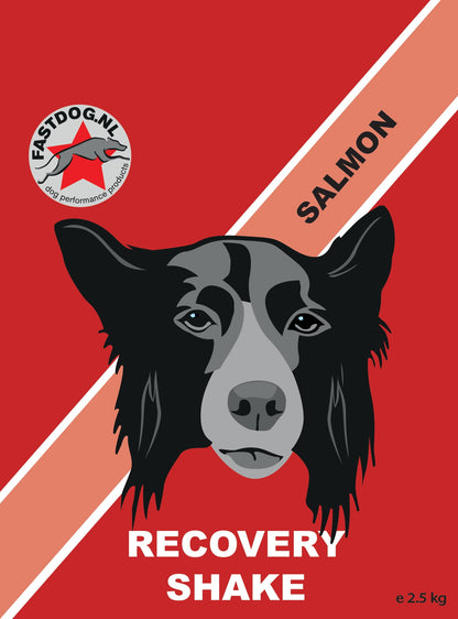 Fastdog Recovery Shake - diverse varianten