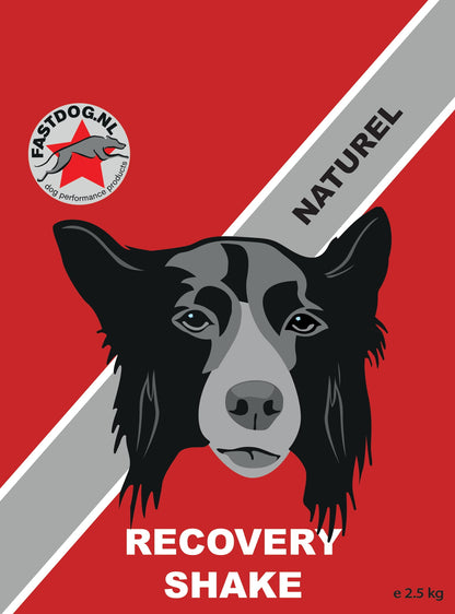 Fastdog Recovery Shake - diverse varianten