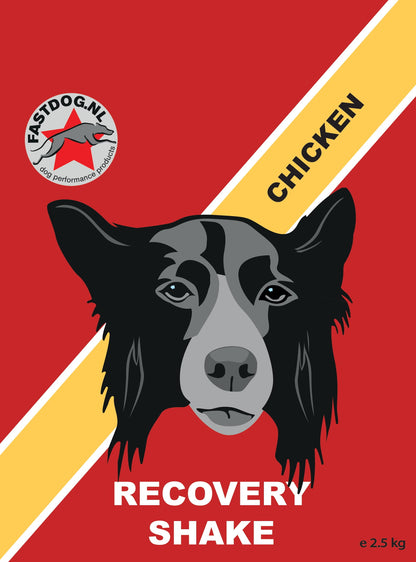 Fastdog Recovery Shake - diverse varianten