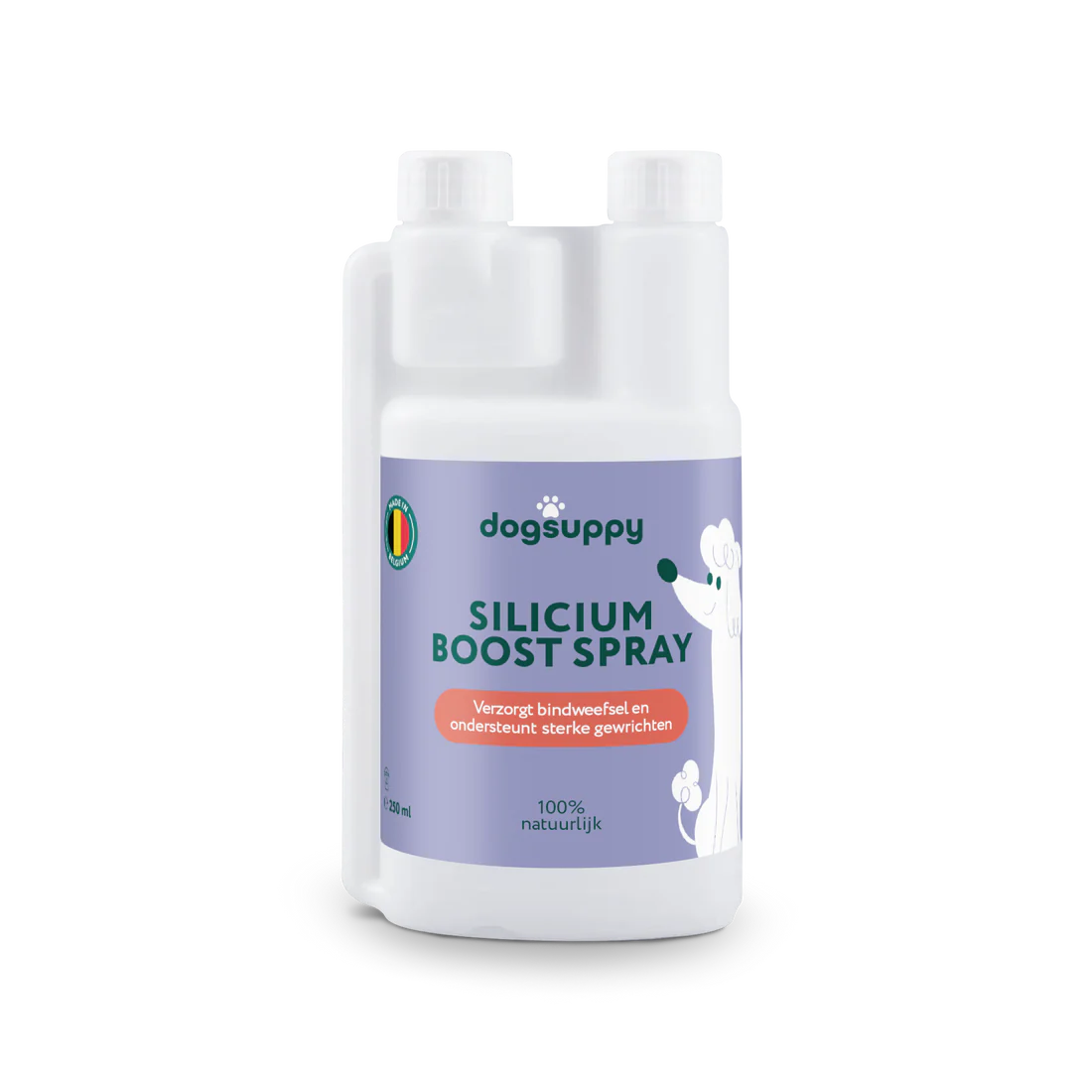 DS Silicium Boost Spray | Draagt bij aan een gezonde gewrichten | 100% Natuurlijk | 250 ml