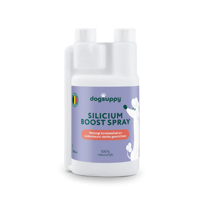 DS Silicium Boost Spray | Draagt bij aan een gezonde gewrichten | 100% Natuurlijk | 250 ml