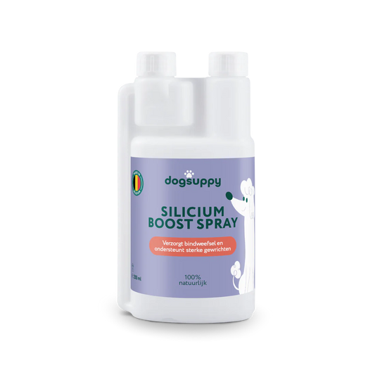 DS Silicium Boost Spray | Draagt bij aan een gezonde gewrichten | 100% Natuurlijk | 250 ml