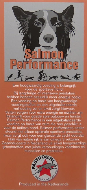 Fastdog Salmon Performance
