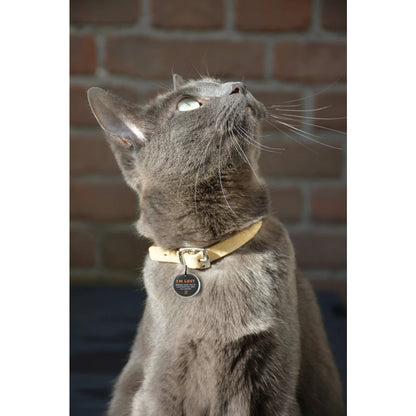 Spotted! Pro tag - Hond en kat